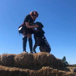 Meet your Posher, Tanner